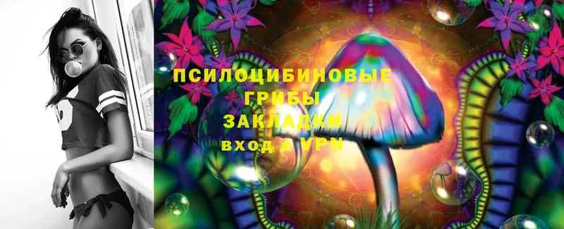 Галлюциногенные грибы Magic Shrooms  Навашино 